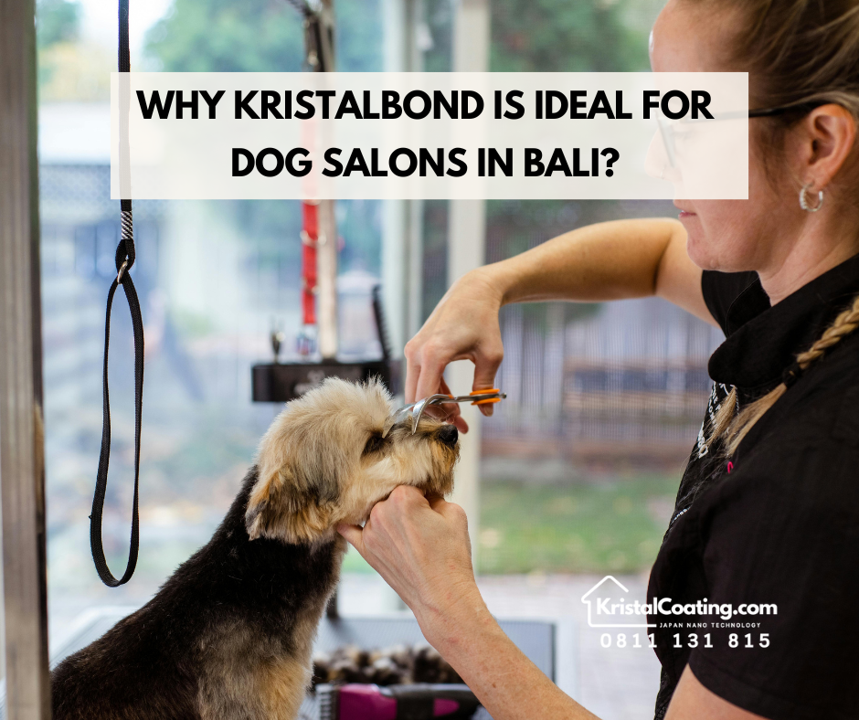 Keep Your Dog Salon Cool and Stylish with KristalBond Nano Glass Coating in Bali